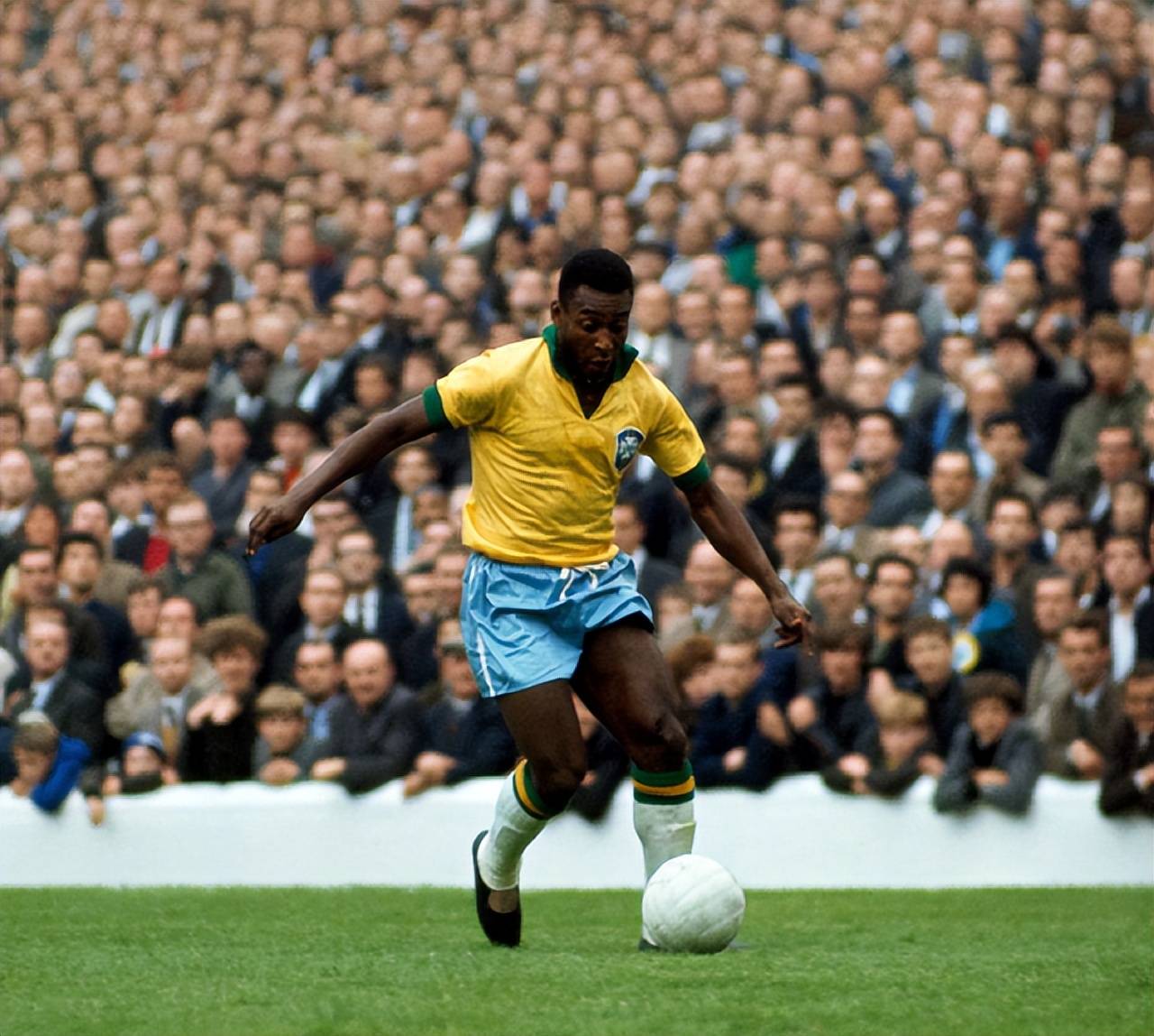 已在非洲杯 已在非洲杯